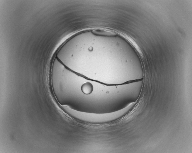 X0000115791101200912041507