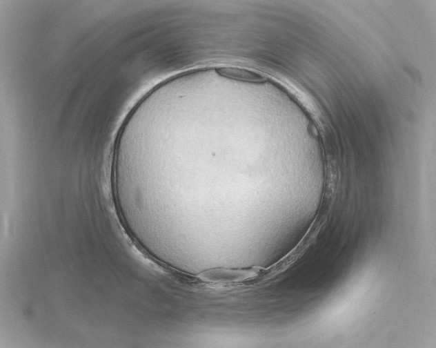 X0000115791102200912041507