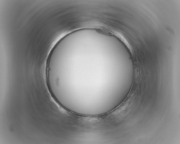 X0000115791103200912041507