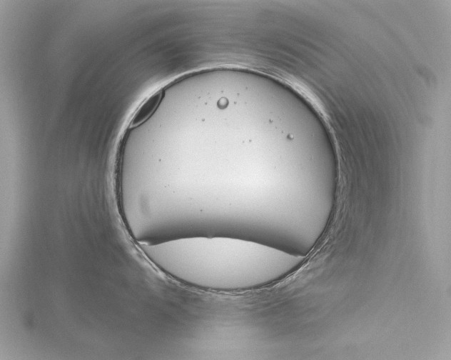 X0000115791104200912041507