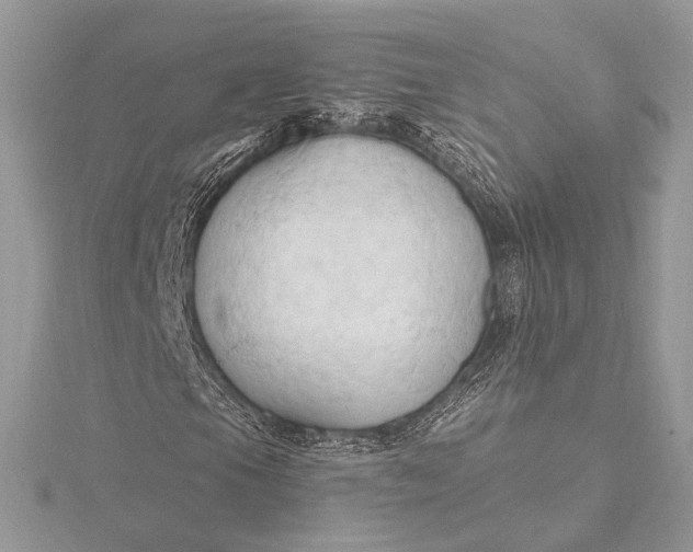 X0000115791105200912041506