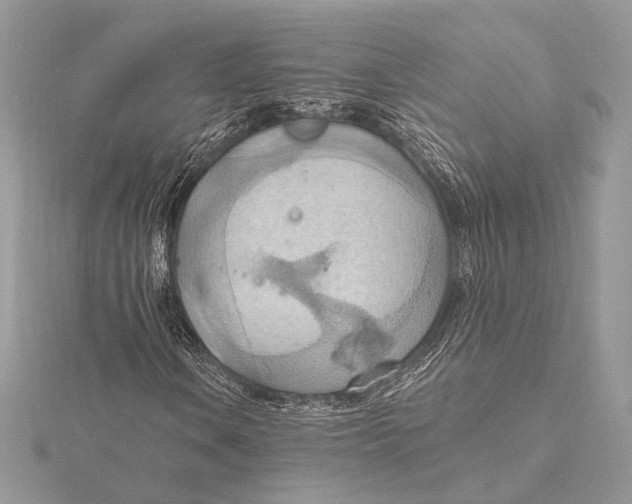 X0000115791106200912041506