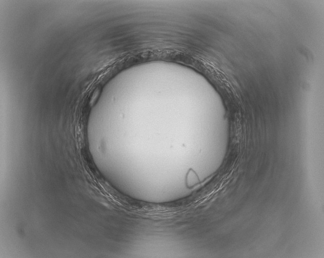 X0000115791109200912041506