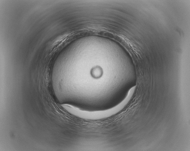 X0000115791110200912041506