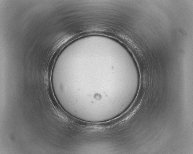 X0000115791113200912041507