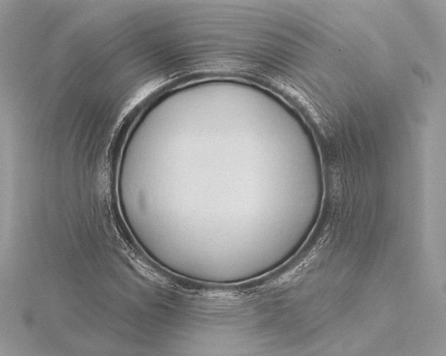 X0000115791114200912041507