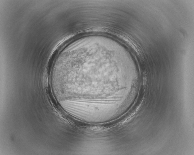 X0000115791117200912041507