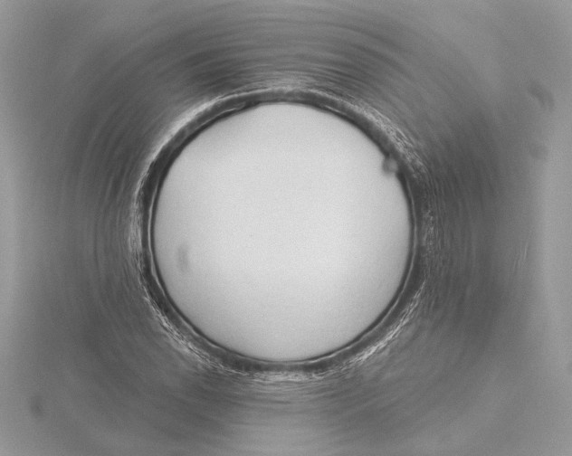 X0000115791118200912041507