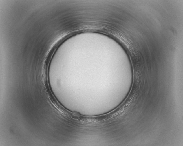 X0000115791119200912041507