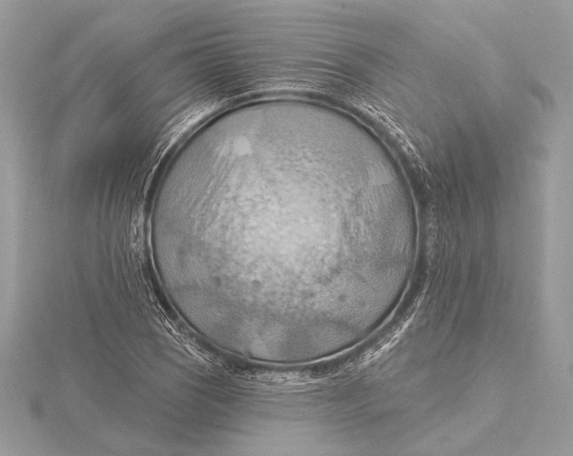 X0000115791121200912041507