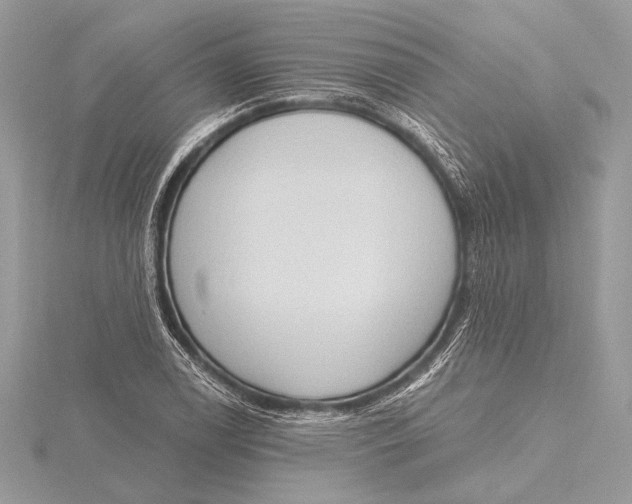 X0000115791122200912041507