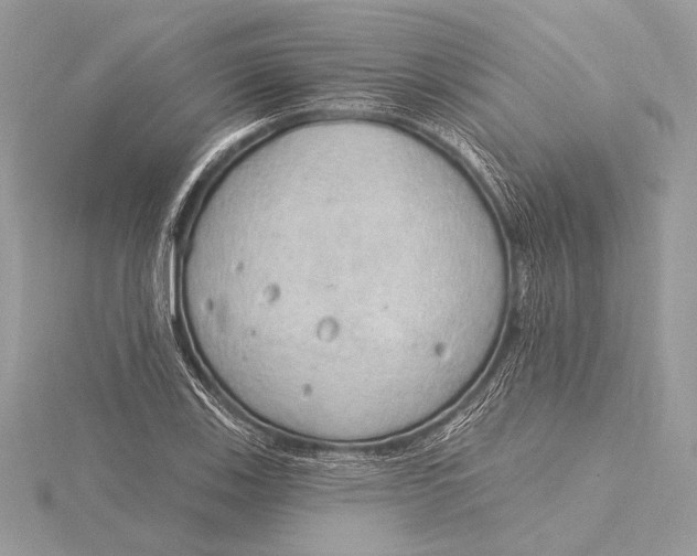 X0000115791123200912041507