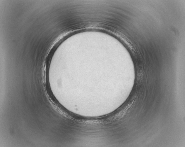 X0000115791126200912041507