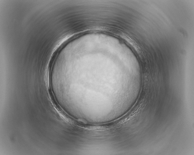 X0000115791127200912041507