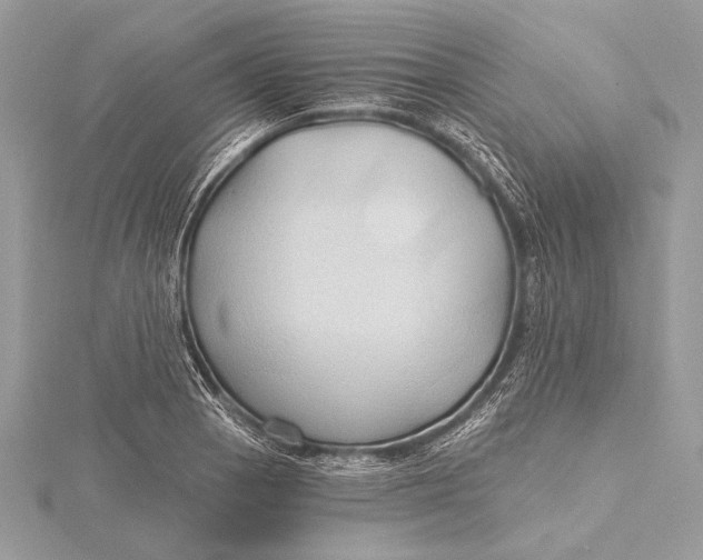 X0000115791129200912041507