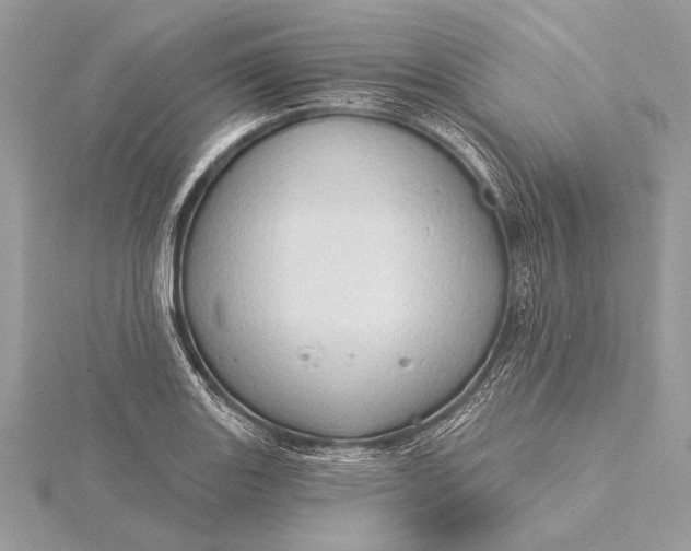 X0000115791131200912041507