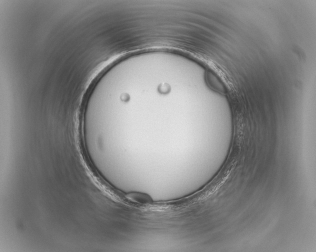 X0000115791134200912041507