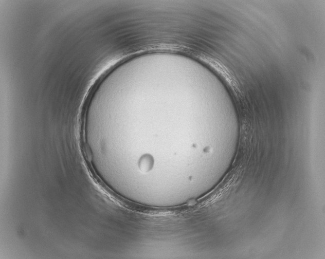 X0000115791135200912041507