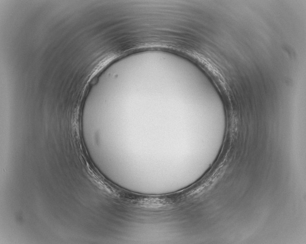 X0000115791137200912041507