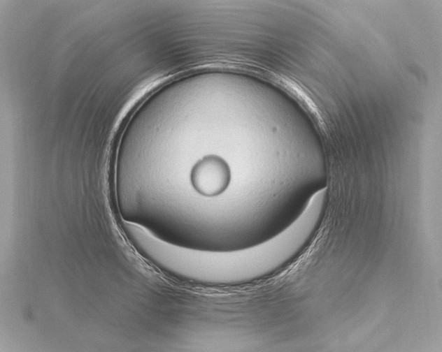 X0000115791138200912041507