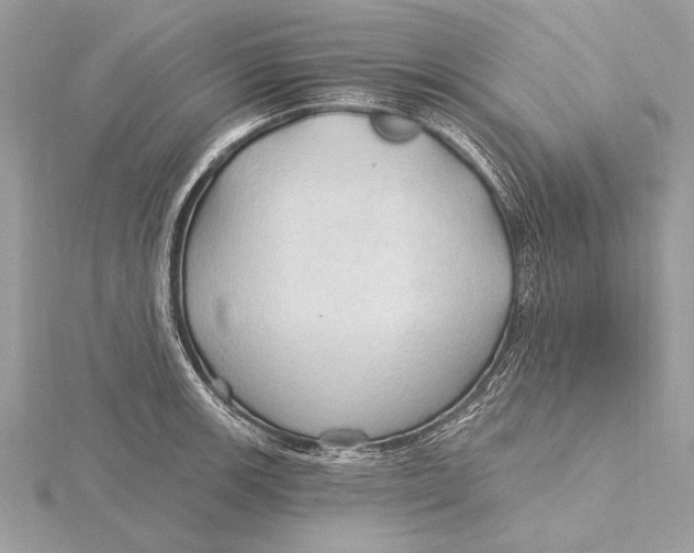 X0000115791139200912041507