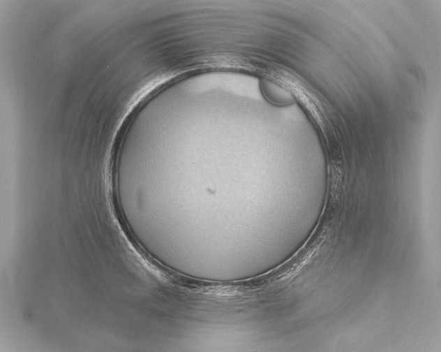 X0000115791141200912041507