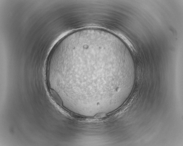 X0000115791142200912041507