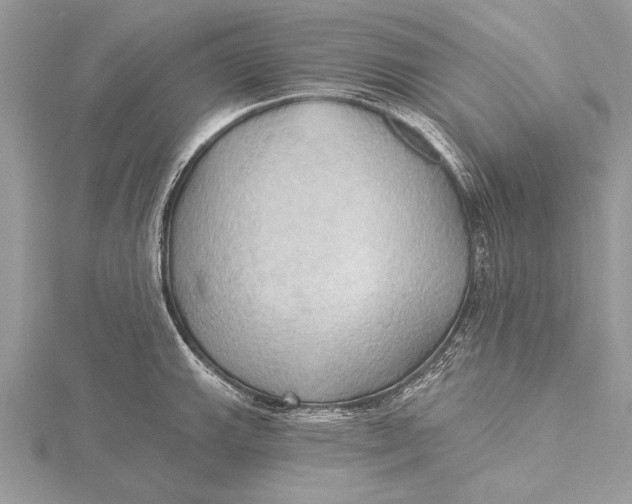 X0000115791143200912041507