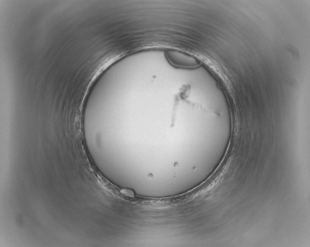 X0000115791145200912041507