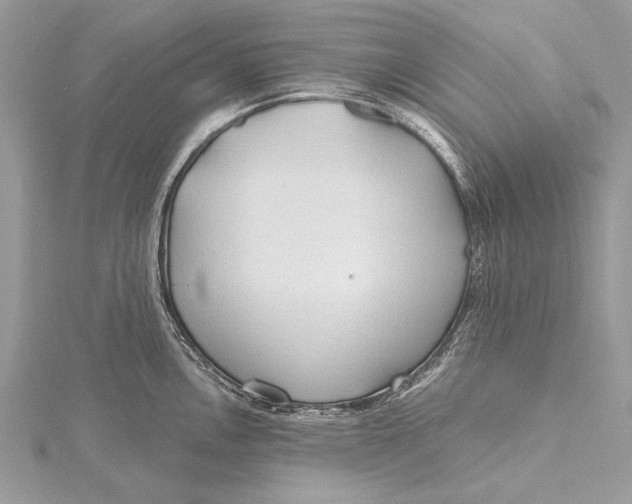 X0000115791146200912041507