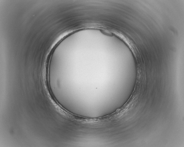 X0000115791147200912041507