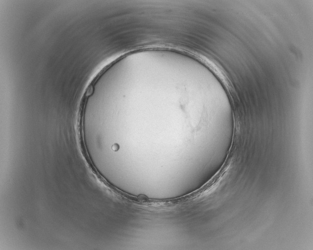 X0000115791149200912041507