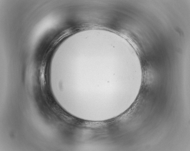 X0000115791150200912041507