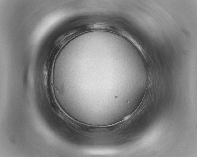 X0000115791151200912041507