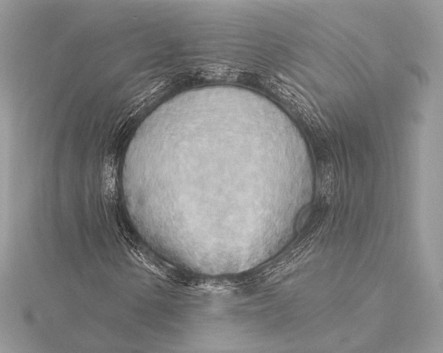 X0000115791154200912041506