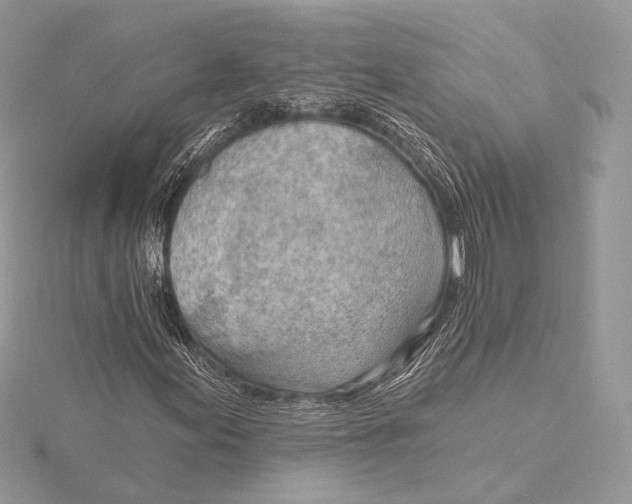 X0000115791155200912041506