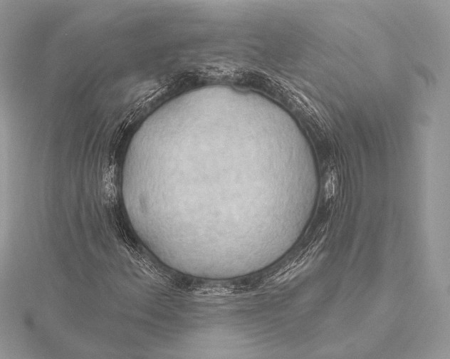 X0000115791156200912041506