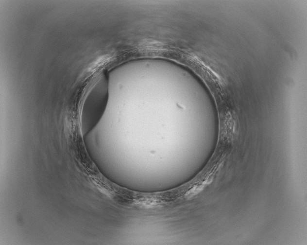 X0000115791157200912041506