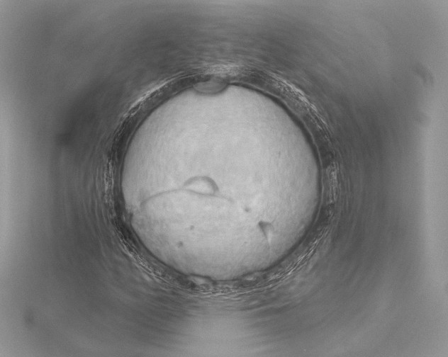 X0000115791158200912041506