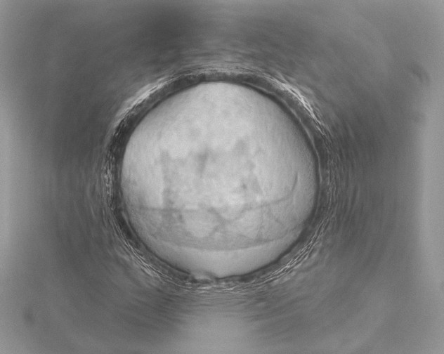 X0000115791159200912041506