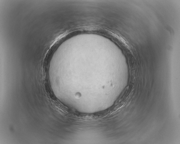 X0000115791160200912041506