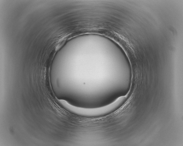 X0000115791161200912041506