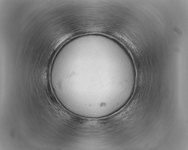 X0000115791162200912041506