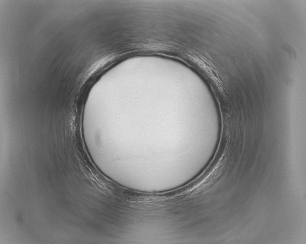 X0000115791163200912041506