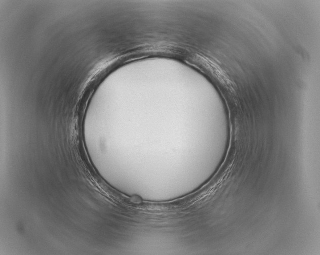 X0000115791164200912041506