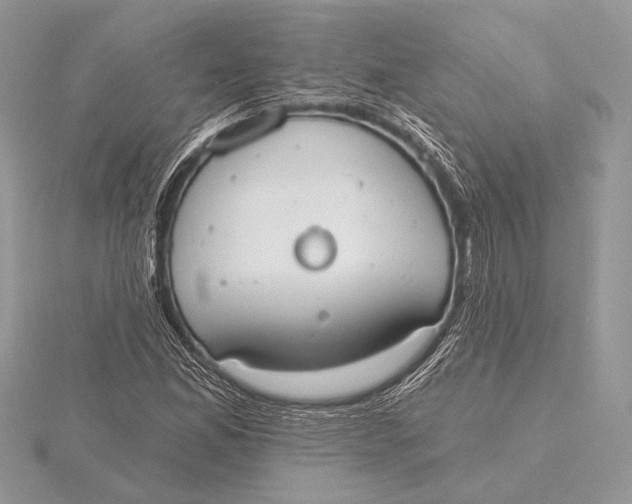 X0000115791165200912041506