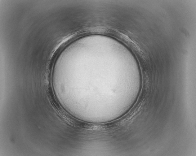 X0000115791166200912041506