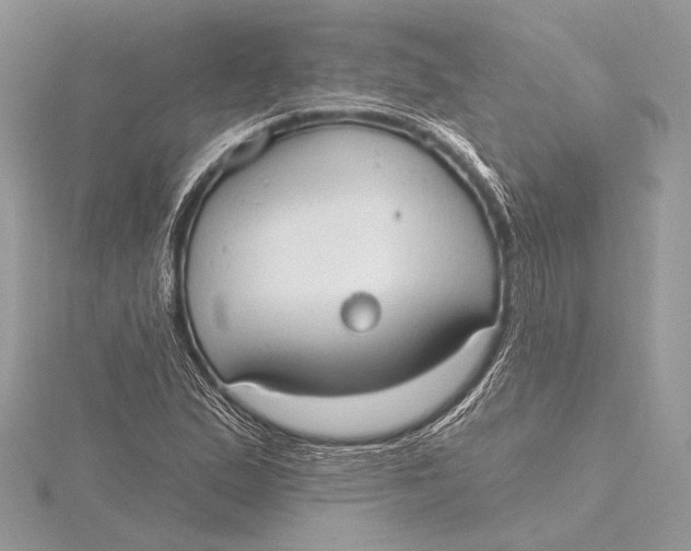 X0000115791167200912041506