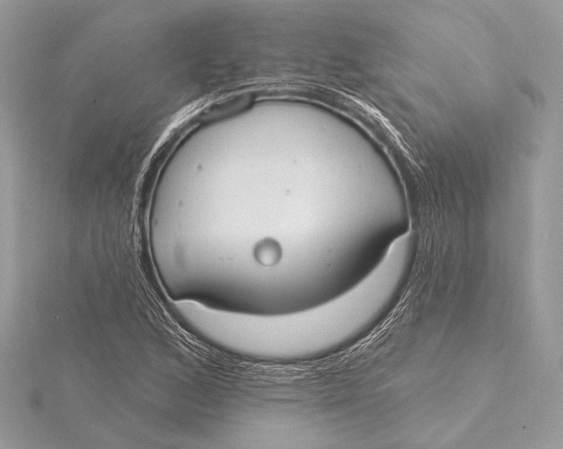 X0000115791168200912041506