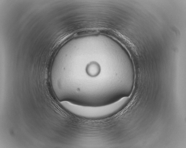 X0000115791169200912041506